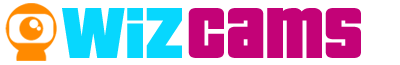 Logo Wiz Wizualnych